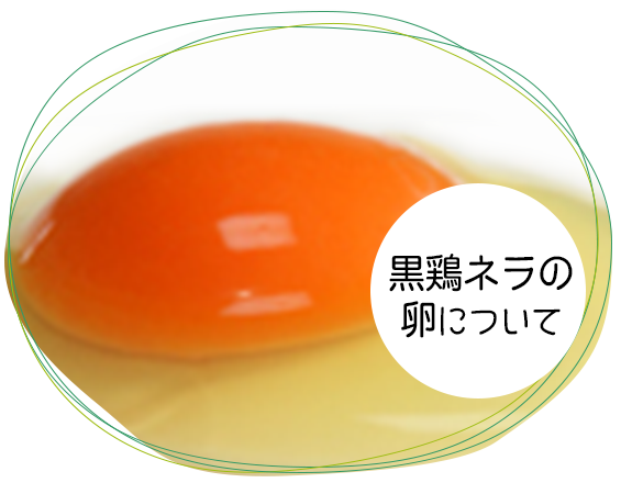 黒鶏ネラの卵について