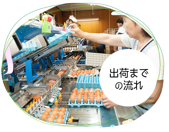 出荷までの流れ
