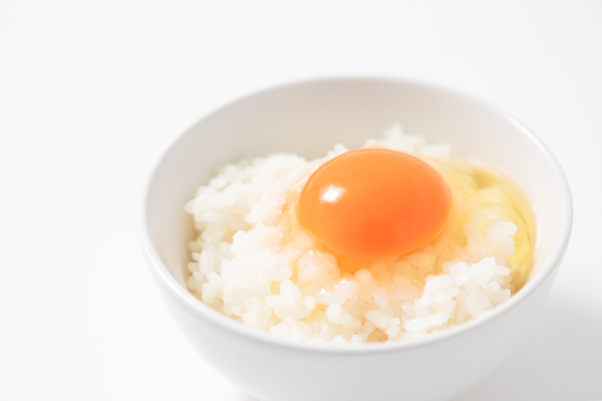 黒鶏とは